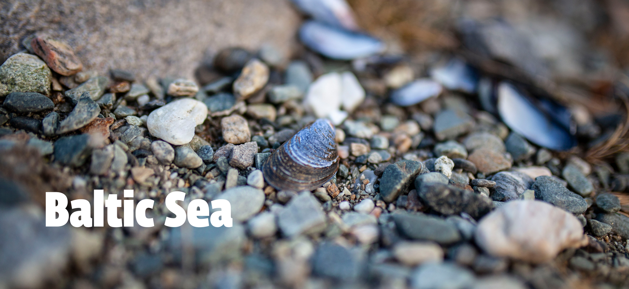 Stones at the Baltic shoreline