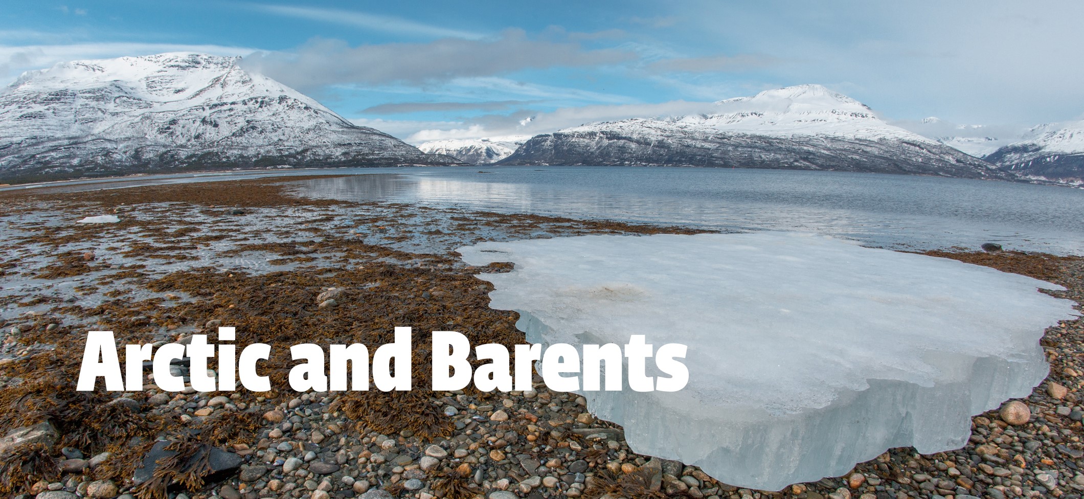 Melting ice in the Arctic